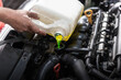Car mechanic pour the water coolant to the car radiator