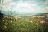 Fototapeta Krajobraz - Hiking holiday concept: Cute fresh flowers in spring, colorful summer wildflowers meadow