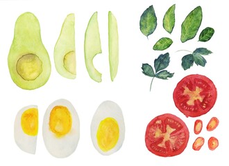  Watercolor set of vegetables isolated on white background. Hand drawn sliced tomato, avocado, seasonal greens, basil, parsley, pepper chilli, eggs. Perfect for cooking design.