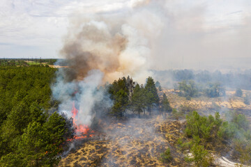 Wall Mural - Aerial drone view of a wildfire in forested area