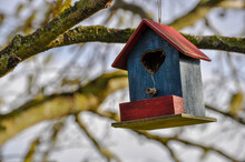 A Small Red And Blue Bird Nesting Box Hanging On A Tree In The Winter