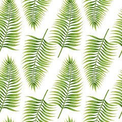  Seamless tropical leaves pattern on the white background. Hand drawn digital illustration of tropical leaves pattern. Palm leaves background.