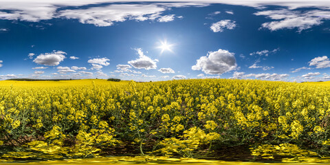 full seamless spherical hdri panorama 360 degrees angle view on among rapeseed canola colza fields in spring day with blue sky in equirectangular projection, ready for VR AR virtual reality content