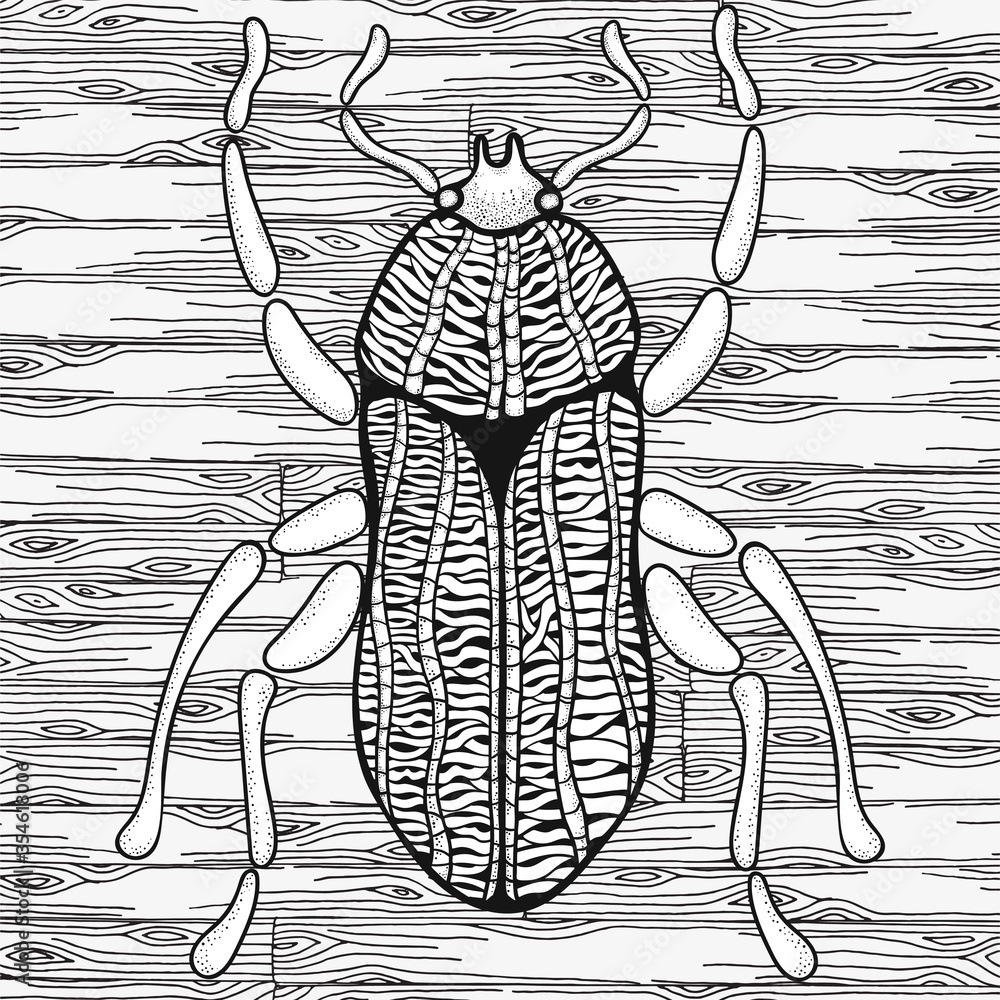 Bug. Hand drawn insects illustrations. Big beetle. Adult coloring book page. Black and white Vector - obrazy, fototapety, plakaty 