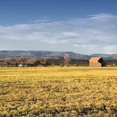 Wall Mural - Colorado - US landscape