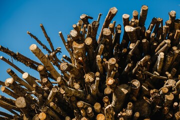 Sticker - Low angle closeup shot of stacked firewoods with a blue background