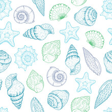 Sea Shell Pattern. Seashell Seamless Vector Background. Ocean Beach Illustration With Sketch Starfish, Shells, Tropic Seashells. Summer Marine Vintage Print. Hand Drawn Underwater Life Blue Graphic