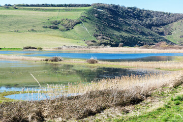 Wall Mural - Views of Cucmere river near Seaford and Eastbourne, East Sussex, view from Friston forest across the road, selective focus