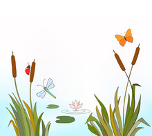 Cartoon Vector Illustration Of Reeds And Flying Insects, Waterlily On Lake As Nature Background