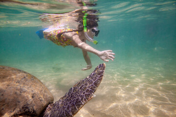 A girl swims with a large turtle in the sea ocean near a coral reef in Sri Lanka.