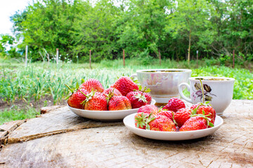 Two tea pairs. Fresh red, juicy strawberries are on the saucers. All on a wooden surface in nature. Dessert. Breakfast. White porcelain mugs and saucers.