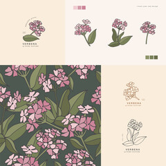 Wall Mural - Vector illustration verbena branch - vintage engraved style. Logo composition in retro botanical style. Seamless pattern.