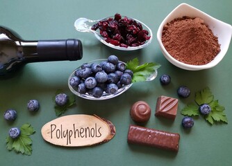 Foods rich in polyphenols. Natural sources of polyphenols: blueberry, red wine, cranberry, chocolate, cocoa. Polyphenols are compounds with antioxidant properties, offers various health benefits.