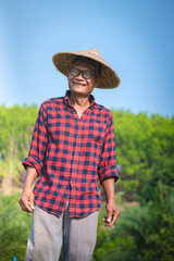 Wall Mural - Portrait of a happy senior Asian farmer at Sesame Garden.