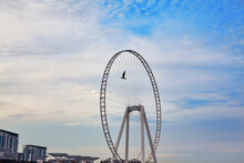 A Bird Flies Against The Backdrop Of The Eye Of Dubai Ferris Wheel On Bluewater Island