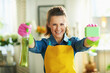 cheerful modern woman with cleaning agent and sponge