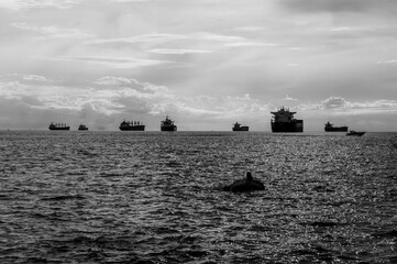 Boats on the Horizon