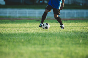 Wall Mural - Soccer player action on the stadium