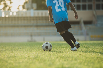 Wall Mural - Soccer player action on the stadium