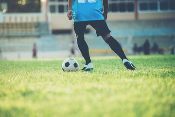 Wall Mural - Soccer player action on the stadium