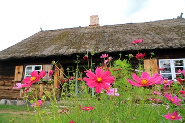 Wall Mural - Old traditional wooden house in Wdzydze Kiszewskie, Poland