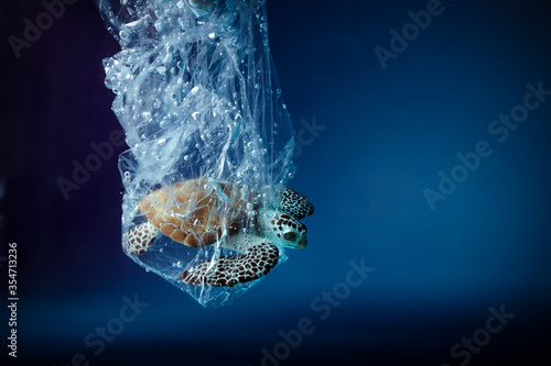 Turtle in plastic bag in ocean. Platic pollution problem. World oceans day concept. Environment concept.