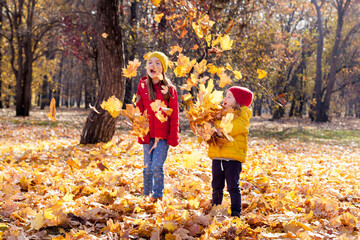 Wall Mural - Children two cute tollder girls sisters play with yellow leaves on a sunny warm day in autumn kids throw leaves young friends have fun and are active in fall outdoors concept