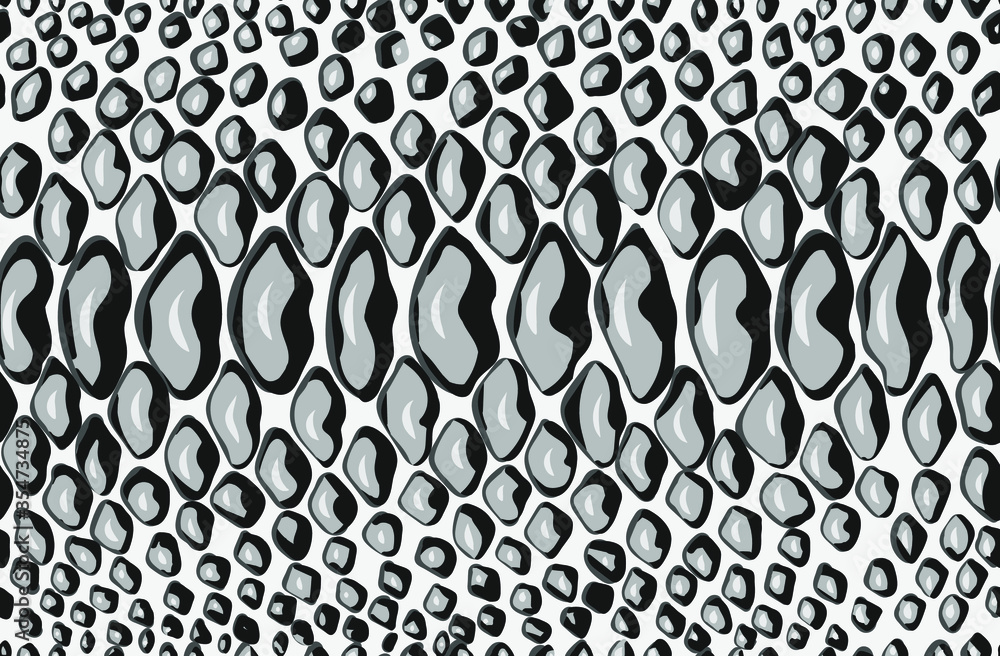 Snake skin seamless pattern. Vector illustration. Stock Vector | Adobe ...