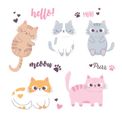 Wall Mural - cute cats sleeping and different breeds funny animal cartoon character