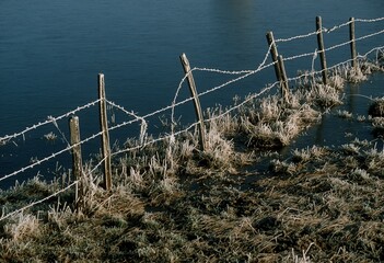 Wall Mural - Closeup shot of barbed wire fence in the lake