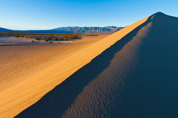  Star Dune is the Tallest of Mesquite Flat Sand Dunes With Armagosa Mountain Range in the Distance, Death Valley National Park, California, USA