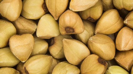 Wall Mural - Buckwheat beans in closeup.  Buckwheat groats in full screen.