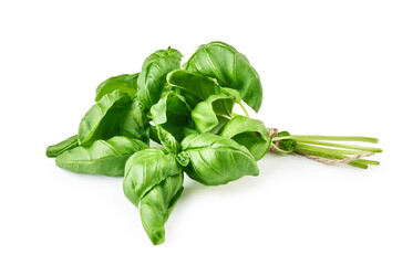 Green fresh basil leaves isolated on white.