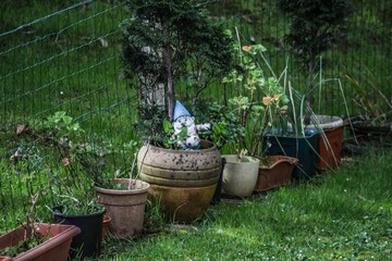 Poster - High angle shot of flowerpots in a garden with a fence on the background