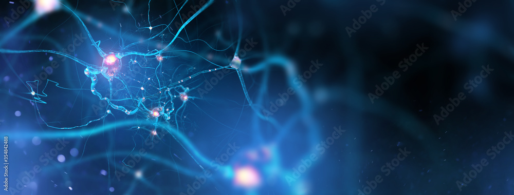 Neurons and nervous system. Nerve cells background with copy space (3d microbiology render banner) - obrazy, fototapety, plakaty 
