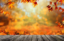 Wooden Table With Orange Fall  Leaves, Autumn Natural Background