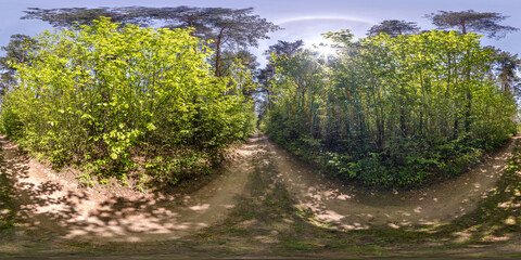 Wall Mural - full seamless spherical hdri panorama 360 degrees angle view on no traffic gravel road among forest in summer day in equirectangular projection, ready  VR AR virtual reality content