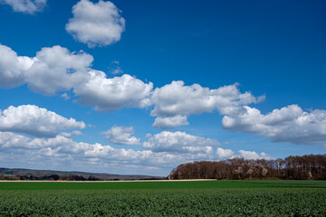 landscape with blue sky and clouds