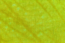 Abstract Textured Background Bright Green