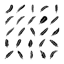 Feather Vector Icons Set 