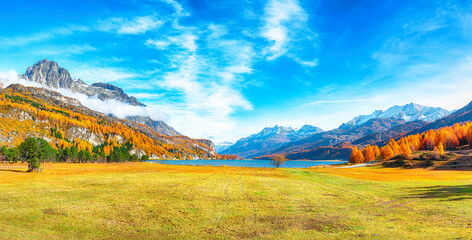 Wall Mural - Charming autumn scene in Swiss Alps and views of Sils Lake (Silsersee).