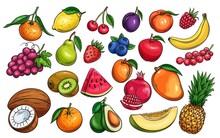 Vector Fruit And Berries