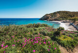 Fototapeta Do pokoju - Italy, Elba island panoramic view of beautiful flowery coast with emerald water Tuscany, Italy.