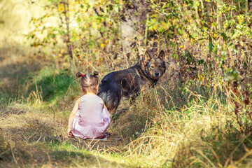 Wall Mural - Little girl with dog walks in the forest on a summer sunny day. The girl sitting back to the camera.