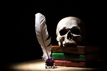 Drama Or Theater And Literature Concept. Old Inkstand With Feather Near Skull On Books Against Black Background. Dramatic Light