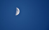 Fototapeta Na sufit - evening moon on a blue sky
