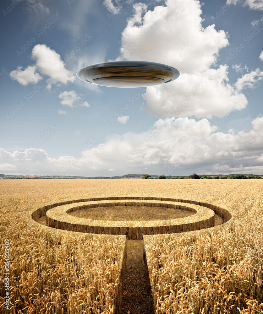 Ufo Raspberry Wheat Stranger summer encounter. A UFO leaves crop circles in a wheat crop on ...