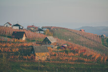 Picturesque Hills With Vineyards And Small Houses In Bela Krajina Or White Carniola Region In Slovenia, On A Hazy Cold But Sunny Autumn Day.