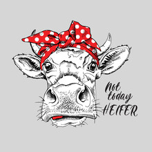 Cute Cow In A Red Polka Dot Headband. Not Today Heifer - Lettering Quote. Humor Card, T-shirt Composition, Hand Drawn Style Print. Vector Illustration.