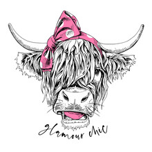 Cute Cow (Hairy Coo) In A Pink Polka Dot Bow Headband. Glamour Chic - Lettering Quote. Humor Card, T-shirt Composition, Hand Drawn Style Print. Vector Illustration.